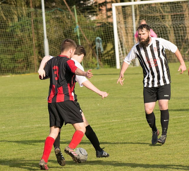 将成为球迷 将成为球迷